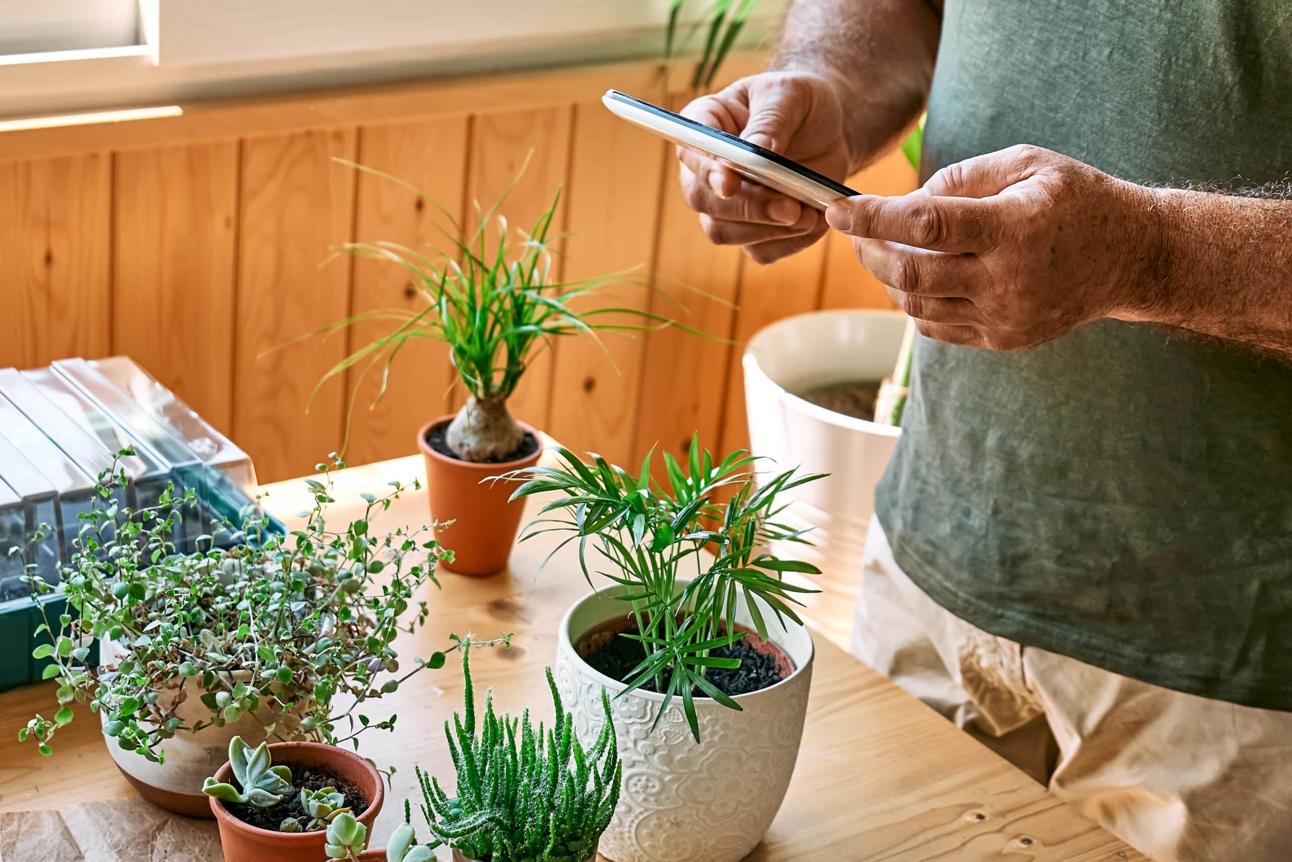 Les solutions collaboratives et l'écologie