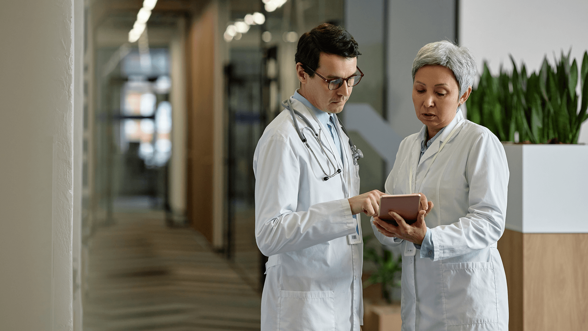 Le cahier des charges pour lancer son projet collaboratif